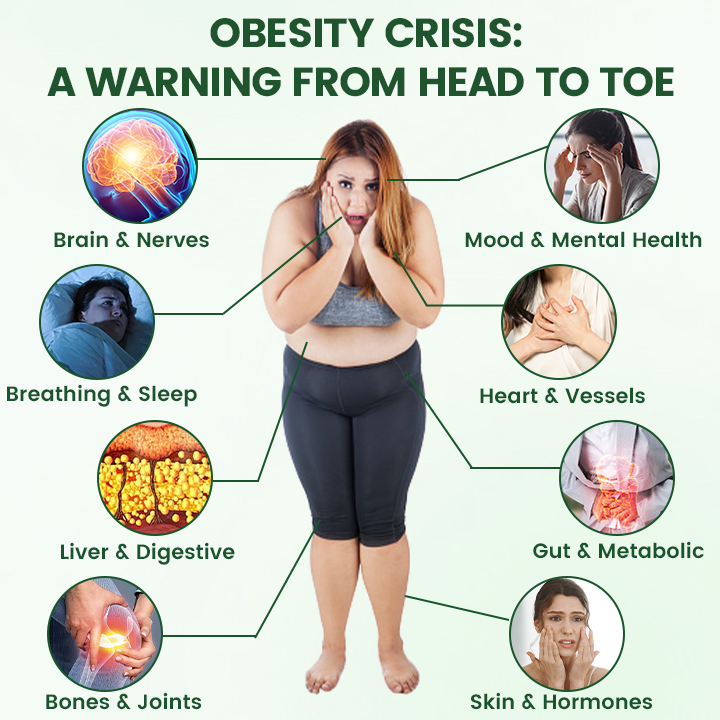 𝑶𝒇𝒇𝒊𝒄𝒊𝒂𝒍 𝑺𝒕𝒐𝒓𝒆  | ☀️☀️𝑻𝒊𝒎𝒊𝒍𝒌®𝑴𝒐𝒓𝒊𝒏𝒈𝗮 · 𝗕𝗲𝗿𝗯𝗲𝗿𝙞𝙣𝙚 × 𝙉𝘼𝐃+𝟏𝟎-𝐢𝐧-𝟏 𝙉𝙖𝙣𝙤 𝙈𝙞𝙘𝙧𝙤𝙣𝙚𝙚𝐝𝐥𝐞 𝐏𝐚𝐭𝙘𝙝🇺🇸(𝐉𝐮𝐬𝐭 𝐨𝐧𝐜𝐞 𝐚 𝐝𝐚𝐲, 𝐯𝐢𝐬𝐢𝐛𝐥𝐞 𝐜𝐡𝐚𝐧𝐠𝐞𝐬 𝐢𝐧 𝟕 𝐝𝐚𝐲𝐬） ✅ 𝐅𝐨𝐫 𝐨𝐛𝐞𝐬𝐢𝐭𝐲, 🅛🅞🅞🅢🅔 🅢🅚🅘🅝,𝐝𝐢𝐚𝐛𝐞𝐭𝐞𝐬, 𝐬𝐥𝐞𝐞𝐩 𝐚𝐩𝐧𝐞𝐚, 𝐣𝐨𝐢𝐧𝐭 𝐢𝐬𝐬𝐮𝐞𝐬, 𝐚𝐧𝐝 𝐦𝐨𝐫𝐞☀️